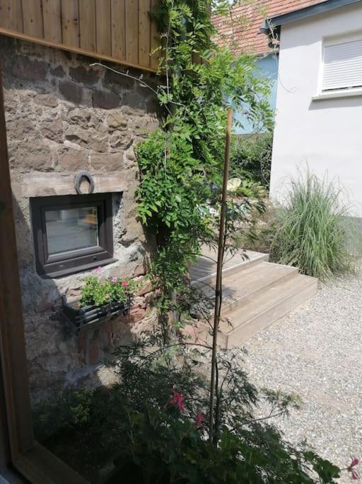 Du Cote De Chez Pam Beblenheim